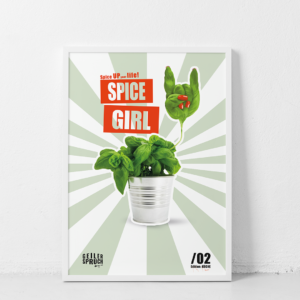 Vorschau Poster mit Rahmen Spice Girl geiler spruch.de 1080x1080 1